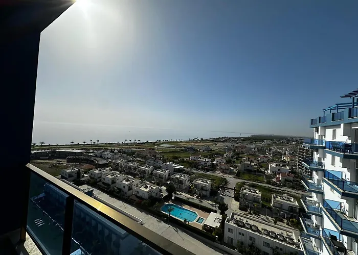 View13